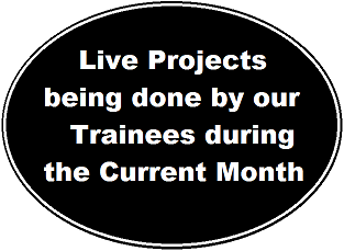 Live Projects with the Trainees